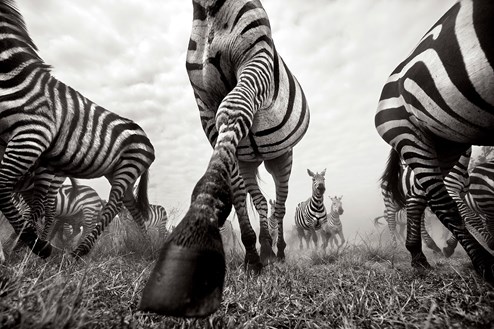 Onward (Deluxe) by Anup Shah - Deluxe Limited Edition on Paper